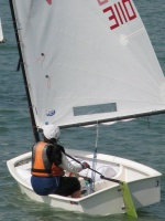 SIN 3110